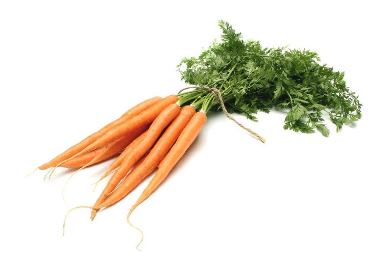 bunch of carrots